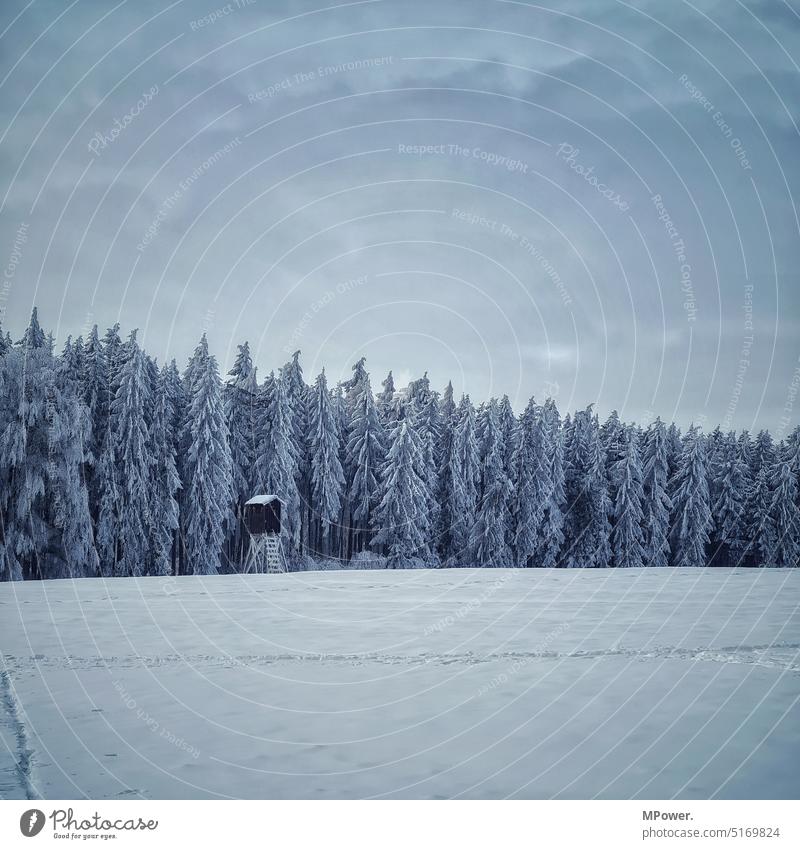 winter forest with high stand Winter forest Snow Field high level hunter's seat Hunting Blind Snow layer Cold White Nature Landscape Winter's day Winter mood