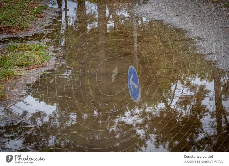 Trees and blue traffic sign - prescribed driving direction - reflected in puddle Road sign Puddle reflection Water Street Weather Rain Asphalt Wet Damp