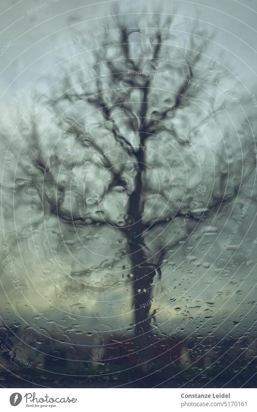 Tree behind rain-soaked window. hazy blurriness Light blurred Abstract Black shilouette Rain raindrops Wet Blue