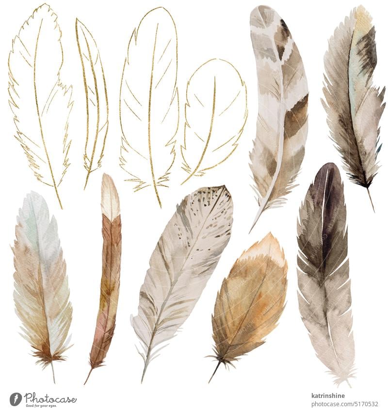 Watercolor beige and gold feathers, glitter outlines, Bohemian element illustration isolated Decoration Element Exotic Hand drawn Isolated Sketch Summer
