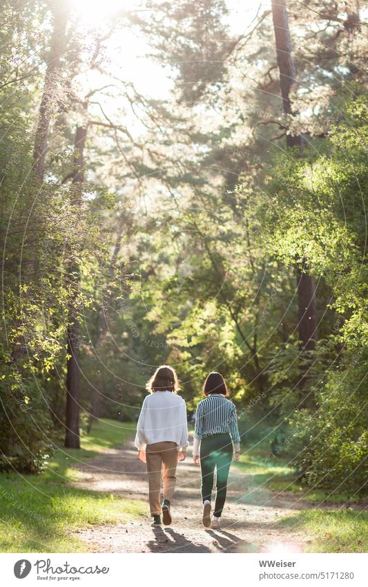 Two young girls walk their way together through a sunlit forest Girl Young women girlfriends Sisters Companions in common at the same time two Side by side