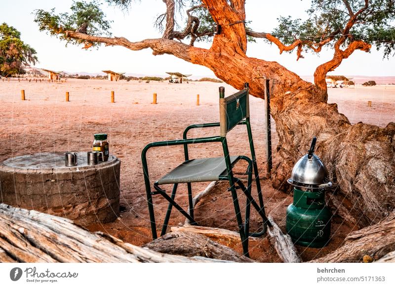 camping romance Tree Warmth Gorgeous especially Adventure Vacation & Travel Loneliness Nature Landscape Africa Namibia Far-off places travel Wanderlust