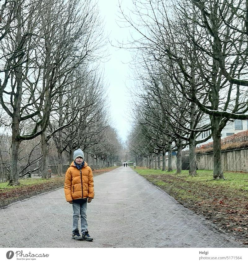 Boy in winter clothes stands on a path in an avenue with hollow bare trees Human being Child Boy (child) off Avenue Bleak Tall Row Winter Jacket Pants Cap Stand