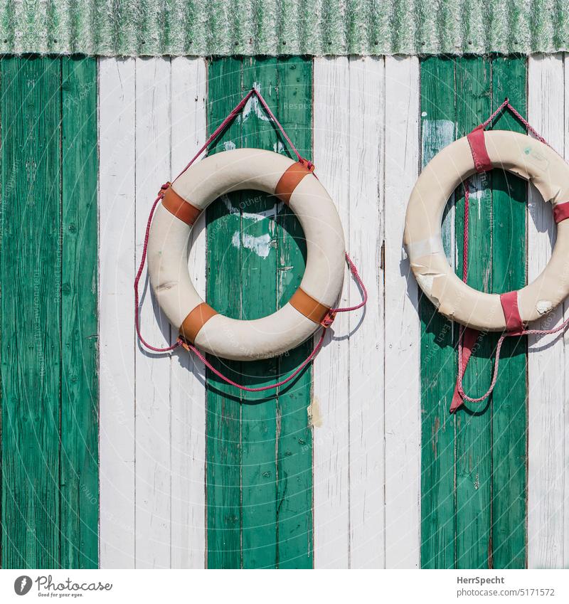 Two old life rings on striped wooden wall Life belt Maritime Maritime atmosphere Safety Beach vacation Exterior shot Deserted Navigation Rescue Ocean
