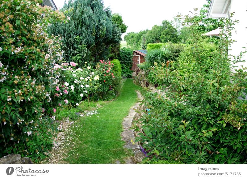 Residential garden, private garden. Home garden landscaping, beautiful landscape design in summer with flower beds. Summer garden in full bloom.