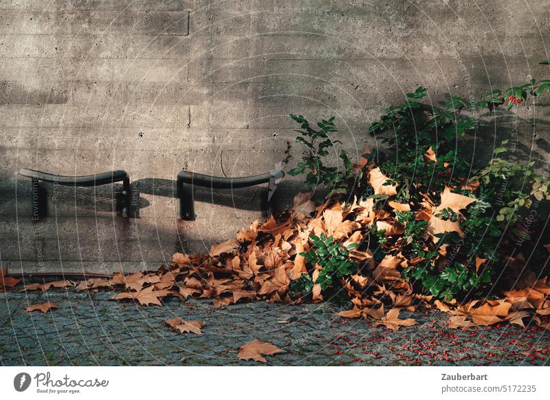 Seating against concrete wall with pile of leaves, shade and pavement Sit Concrete Shadow foliage Gloomy Modern Architecture Uncomfortable Comfortable