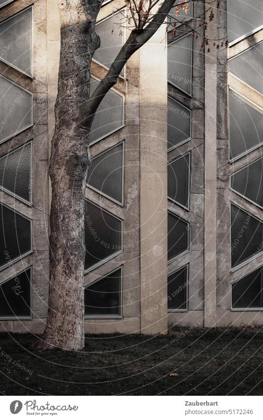 Detail of the facade of St Ansgar Church, concrete structure with tree Facade Concrete detail Modern Brutalist Tree Gray Catholic Architecture urban