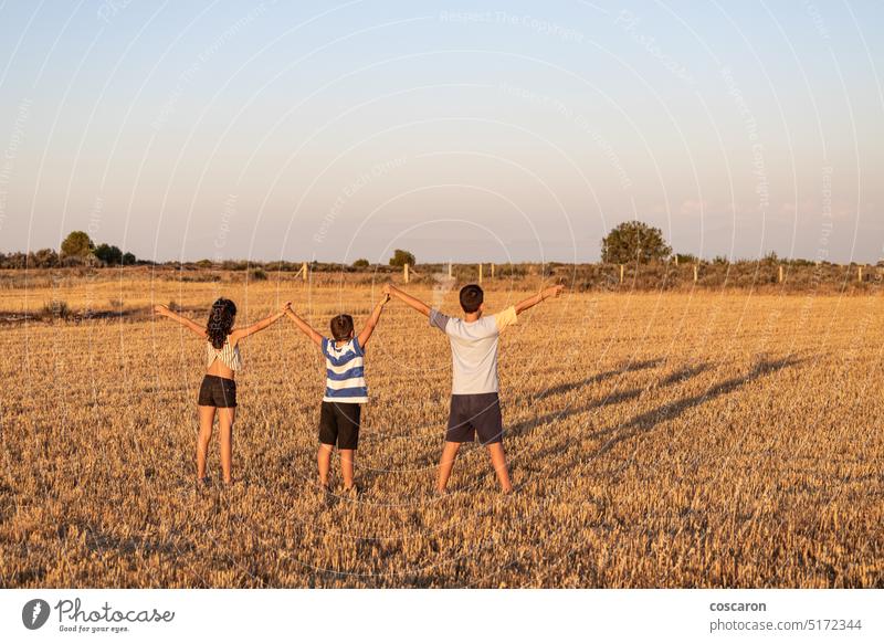 Three kids with open arms on a field at sunset air background beautiful child childhood concept countryside day dry enjoy family free freedom friends fun girl