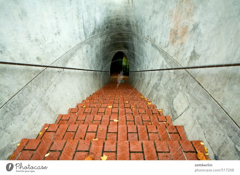 Something in Dresden Hiking Living or residing Autumn Manmade structures Architecture Stairs Adventure Target wallroth Descent Banister Brick Cave Tunnel