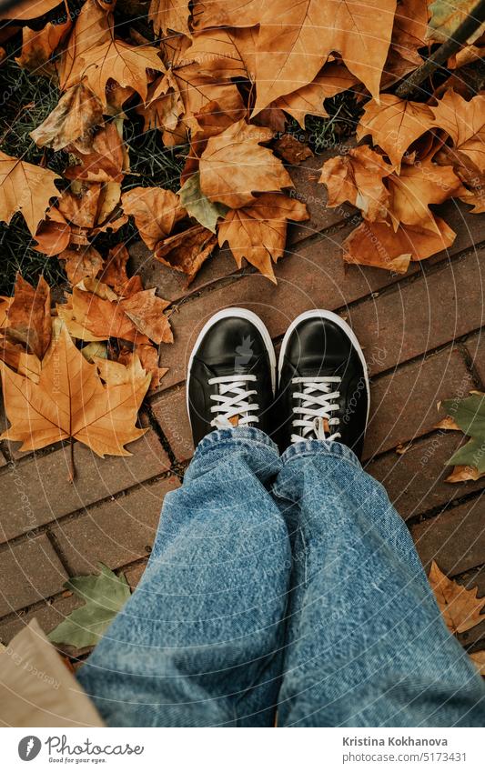 Female feet in sneakers with orange fallen maple leaves. Autumn gold background. abstract autumn beautiful bright brown color dry flora foliage forest garden