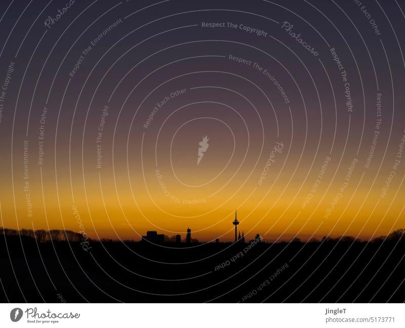 Silhouette of Cologne just before sunrise Sky Black Gold Orange purple Blue midnight blue Television tower cathedral points Forest Morning Dawn Colour photo