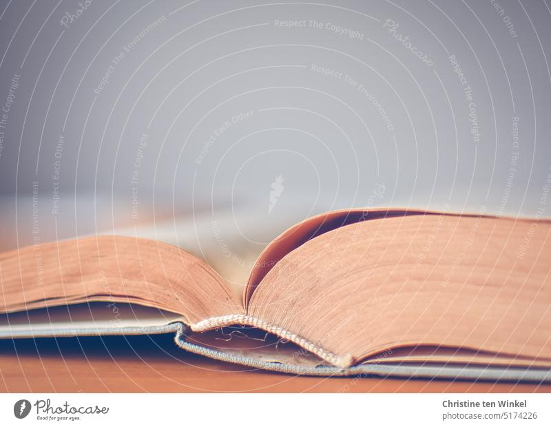 An open book lies on the table Book Reading Reading food Know Education Literature Reading matter School Library Academic studies Information Wisdom