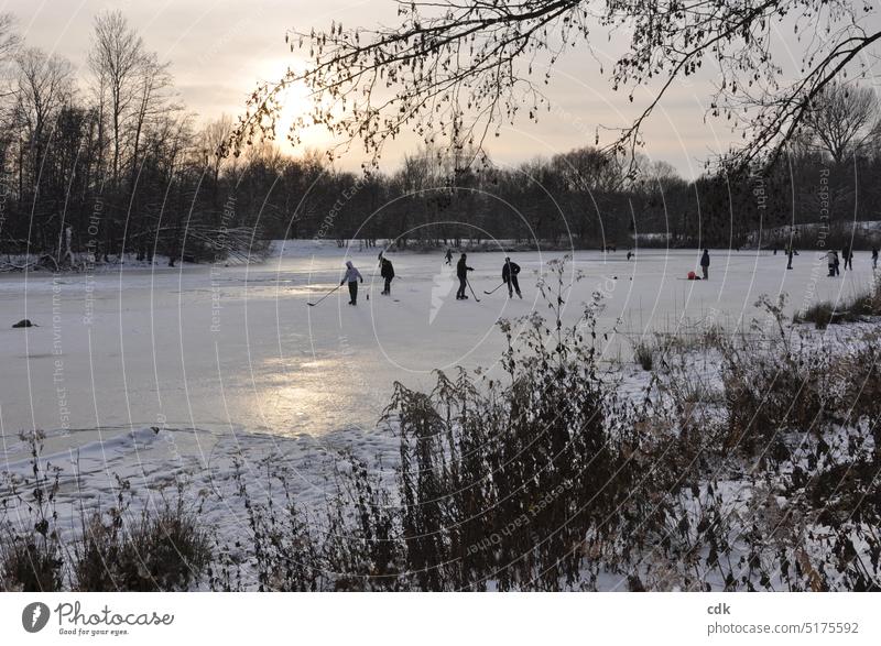 Evening at the frozen pond in the park at sunset. | Winter mood Park Nature Lake Water Pond Deserted Landscape tranquillity Day Idyll Surface of water Ice chill