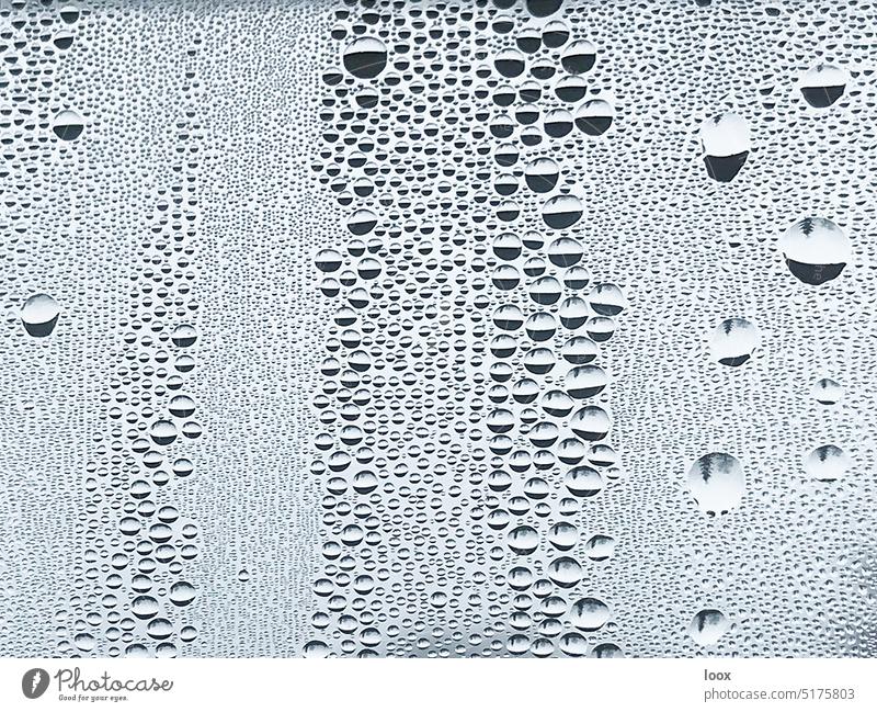 4eyes | water beads Drop Pane reflection Wet Damp Pattern structure detail Glittering Rain Abstract Physics Nature lines Circle Condensation Molecular forces