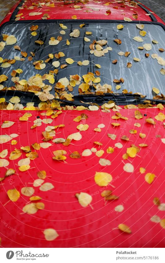 #A0# Herbstlaub herbst Herbstfarben herbstlich Herbststimmung herbstlandschaft Herbstblatt Herbstfaerbung Herbstblätter herbstfarbe auto Lack rot Autofenster