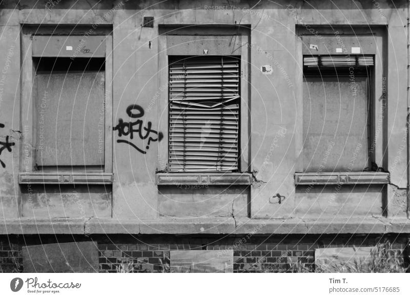 Fenster in Leipzig s/w fenster Altbau unsaniert alt Gebäude Fassade Haus Black & white photo Architecture Architektur urban haus architektur gebäude fassade