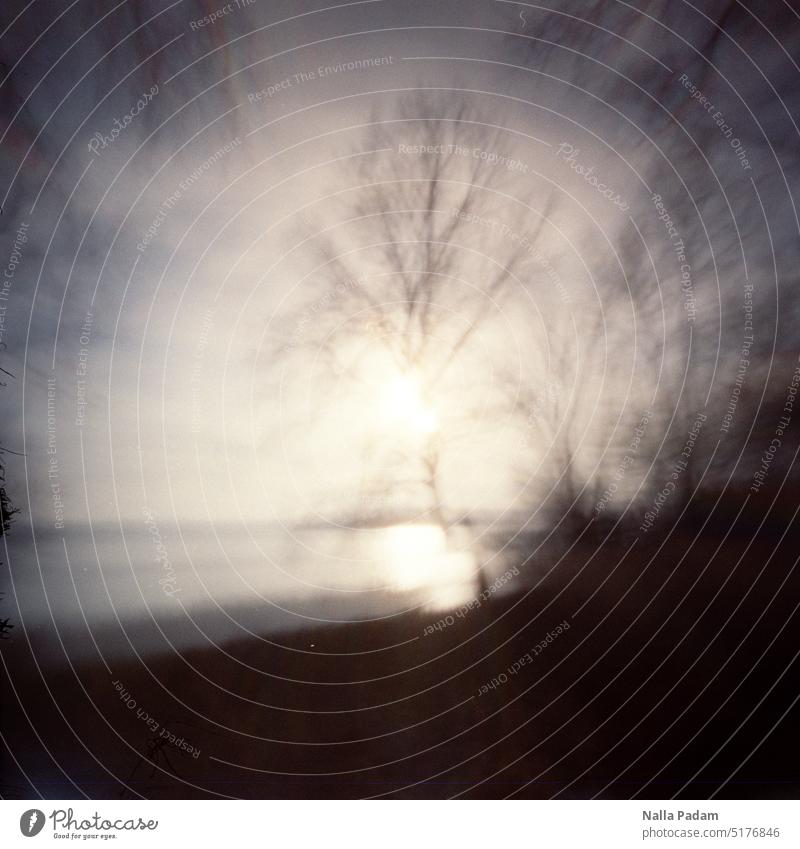 Lake view with tree and sun Analog Analogue photo Colour Colour photo Water Tree Sun blurred Exterior shot Nature Day Deserted pinhole