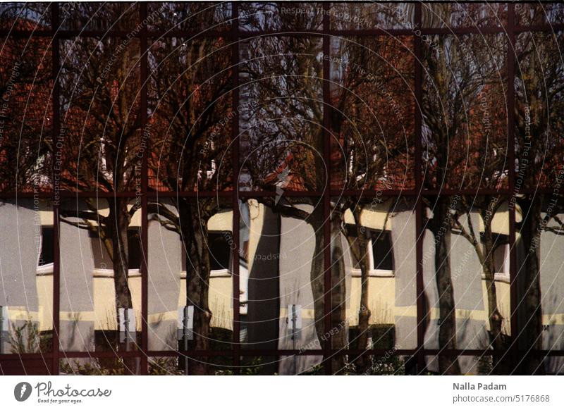 Glass facade - BO reflected Analog Analogue photo Colour Colour photo reflection Architecture Building Tree Line Facade House (Residential Structure)