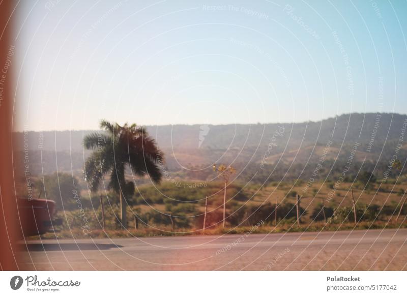 #AF# Roadtrip roadtrip Palmen palms Green Kuba Roadside