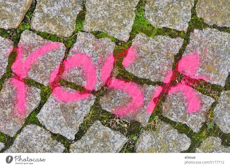 pink is written in pink on paving stones Pink Paving stone Cobblestones Daub Art spray Street paved road Lifestyle Creativity Youth culture Street art Blog