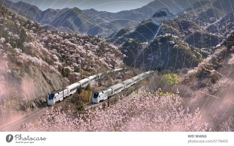The Great Wall with train Train railway Spring transport