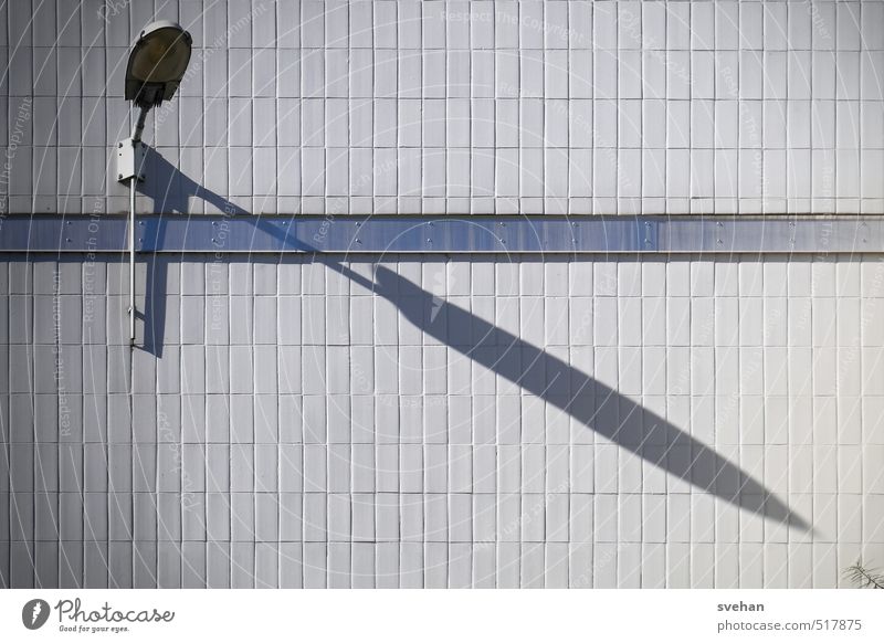 shadow growth Wall (barrier) Wall (building) Gloomy Blue Gray Lamp Wall light Tile Shadow Part of the plant Stalk Diagonal Targeted Subdued colour Exterior shot