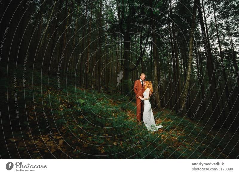 The bride and groom go through the forest hand in hand. Happy bride and groom holding hands and walking in forest on wedding day. happy nature white summer love