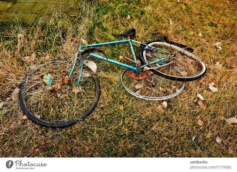 bicycle Bicycle Wheel Broken broken dead Scrap metal jettisoned Vehicle lost Dismantling demolished Frame Bicycle frame Roadside Grass Road ditch Accident Theft