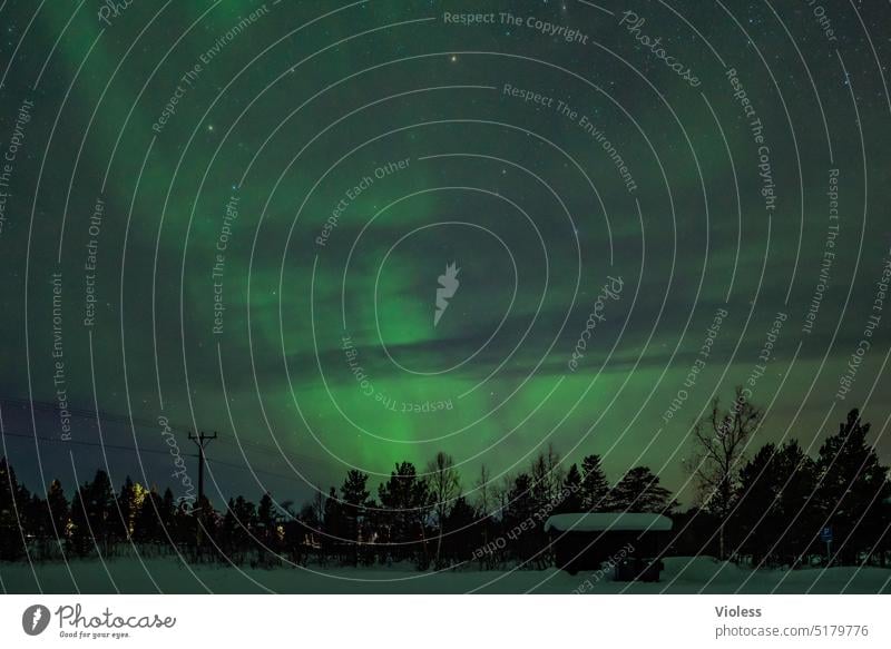 Night in Swedish Lapland II stars Aurora Borealis Swede Abyssinian Snow firs aurora polaris northern lights luminous phenomenon solar wind Frost chill Dark