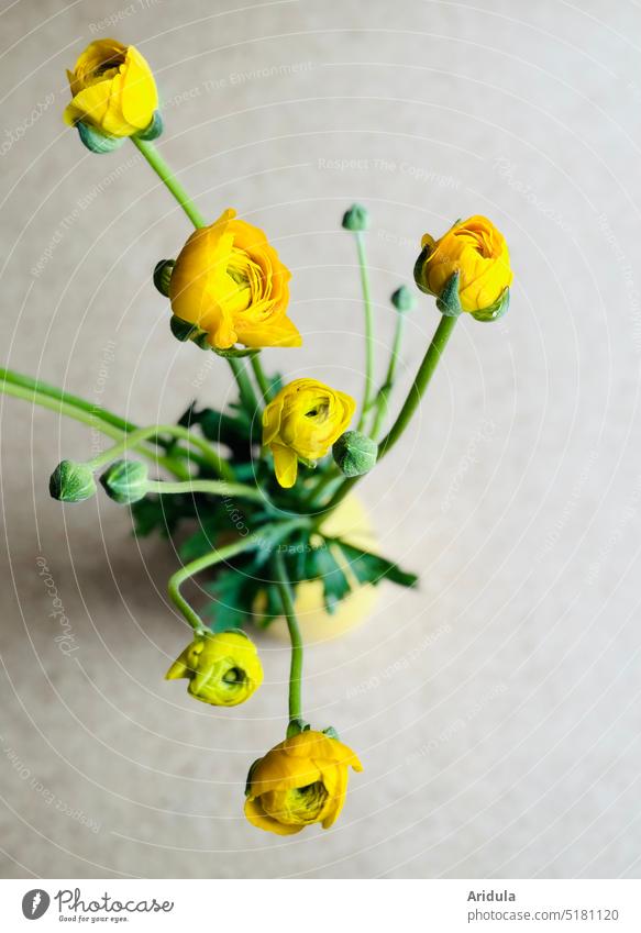Yellow ranunculus in yellow vase Buttercup Vase Ostrich Spring Flower Bouquet Blossom Decoration Interior shot Blossom leave Green Gift Fresh Plant Bright kind