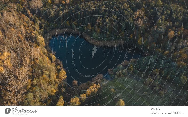 Heart-shaped lake during colourful autumn sunset, Czech Republic. Romantic landscape. Blue heart in contrast with colourful forest aerial view october leaf