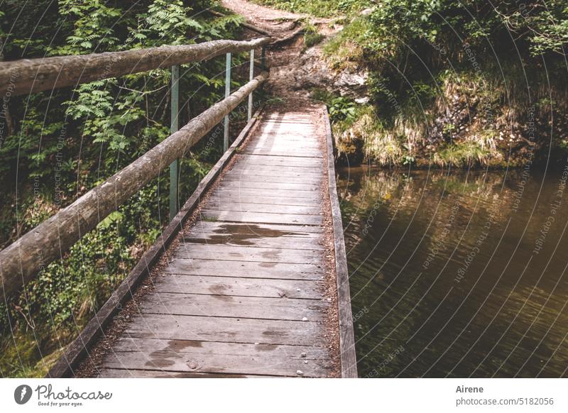 right you can fall in Bridge Joist Wooden board Wooden bridge Footbridge Bridge railing Raw Wooden rack Simple Lanes & trails Open Wooden scaffold