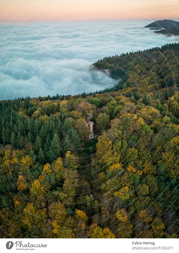Tower in forest at sea of fog Forest Fog Misty atmosphere Sea of fog Autumn mountains Sunrise Sunbeam Green Nature Environment Patch of fog Covering of fog