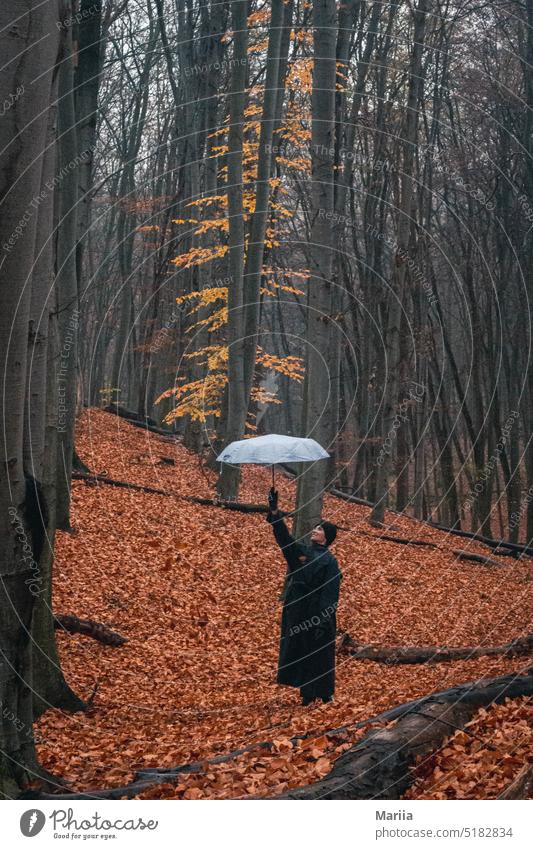 Girl in lost place Woman Umbrella Black orange color Trees Leaf Weather Autumn cloudy fall leaf lost places Contrast Young woman black clothes Forest Park kyiv