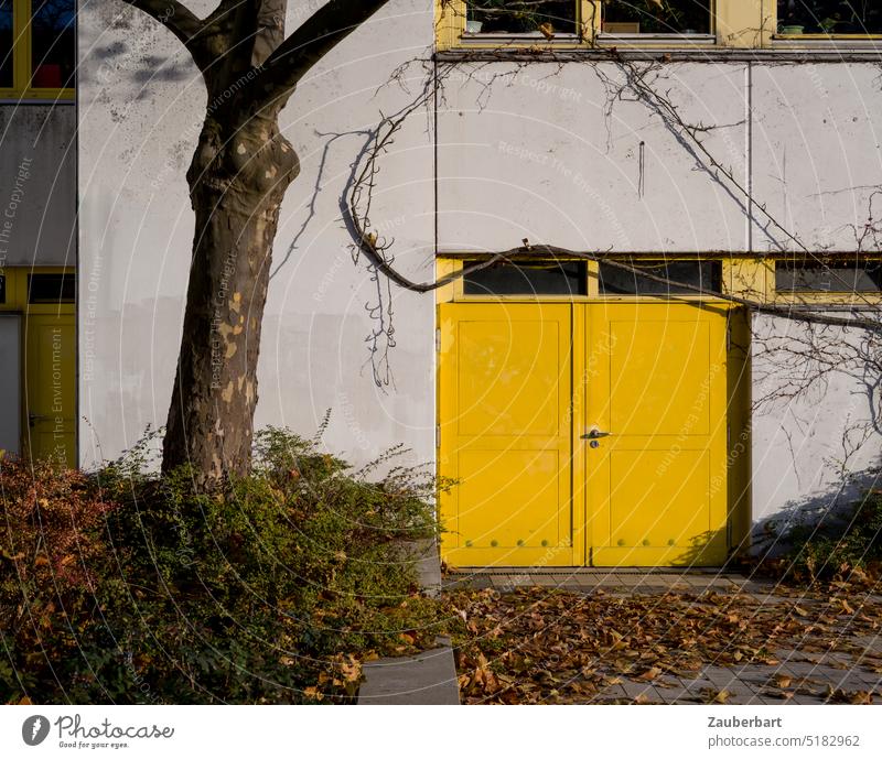 Yellow gate in concrete facade, tree in front of it Goal door Facade Concrete Tree Town urban Building Wall (building) House (Residential Structure)