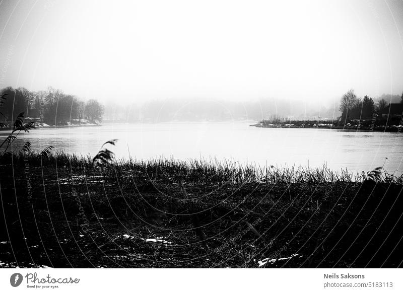 river Lielupe in Latvia at wintertime black and white mono monochrome contrast harsh dark gloomy water river bank reeds grass fog mist dark times smooth calm