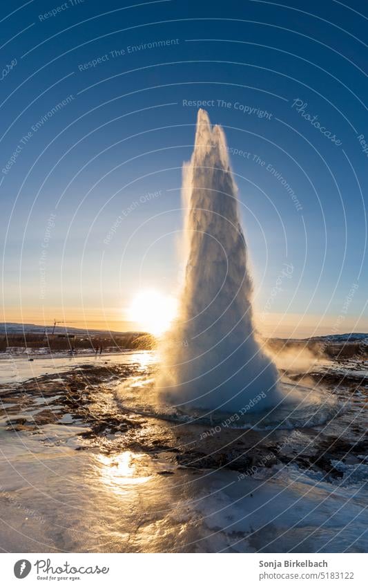 Winter at Strokkur Geyser Iceland Nature Vacation & Travel Water Tourism Travel photography Sky fountain erruption Cold Smoothness smooth Sunrise Copy Space