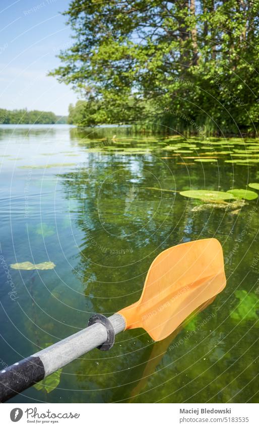 Kayak paddle in the water, selective focus. lake sport kayak nature canoe adventure river activity summer vacation oar equipment leisure journey recreation