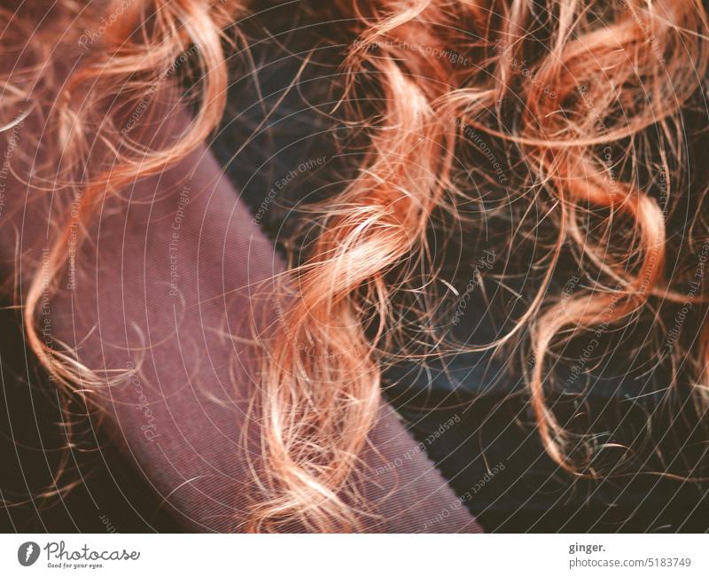curls hair Red Curl Disheveled Long-haired Colour photo Hair and hairstyles shaggy Waves detail Curly hair Belt vivacious uncombed reddishly fringed wisps