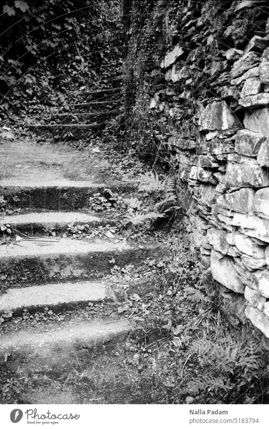 Monschau - Stairs 2 Above Under upstairs Stone Upward rail Stage Black & white photo black-and-white Analogue photo