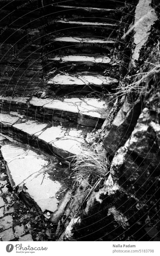 Monschau - Stairs 3 Analog Analogue photo black-and-white Black & white photo Stage rail Upward Stone up upstairs Under Above
