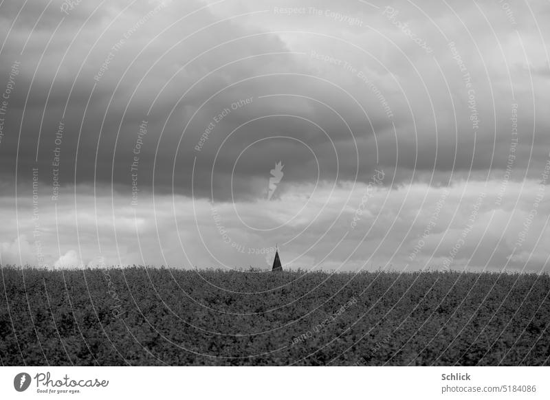 Well hidden, church spire towering over field against cloudy sky Church spire acre Sky Clouds Black & white photo Look out Field Agriculture Hiding place plants
