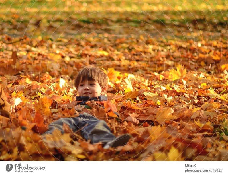 Hidden Leisure and hobbies Playing Children's game Garden Human being Toddler Infancy 1 1 - 3 years 3 - 8 years Nature Autumn Beautiful weather Leaf Park Meadow