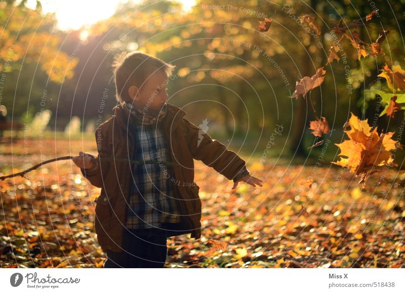 autumn Leisure and hobbies Playing Children's game Garden Human being Boy (child) 1 3 - 8 years Infancy Autumn Leaf Park Meadow Forest Throw Moody Joy Happiness