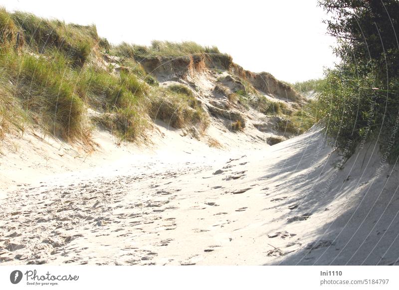 dune hike Island duene Helgoland off Sand traces in the sand marram grass sunshine Bushes Shadow shadow cast