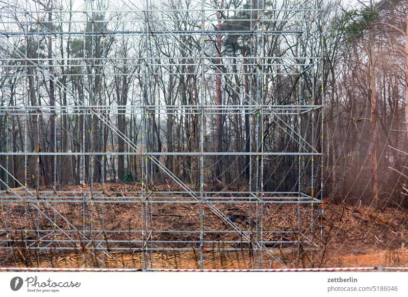 Scaffolding in the forest pole scaffolding pole Forest Nature Park Construction site construction works Gross national product Empty Deserted