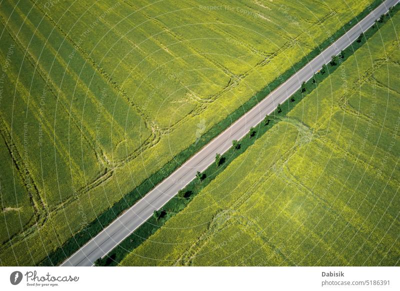 Countryside road among agricultural fields, aerial view countryside rural nature scene farmland travel green background outdoors car journey driving summer