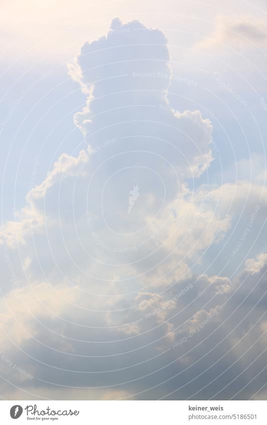 A piece of heaven Sky Clouds Sunlight Sunbeam Background motif Weather Climate Cloud pattern Thunderstorm tower Source clouds Cloud field Cloud formation