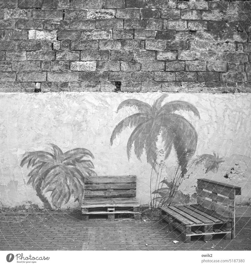 cuddly corner Palett Simple Wood Seating Vacation mood Idyll Exterior shot Deserted Palm tree Painting and drawing (object) Work of art Street art Palm frond