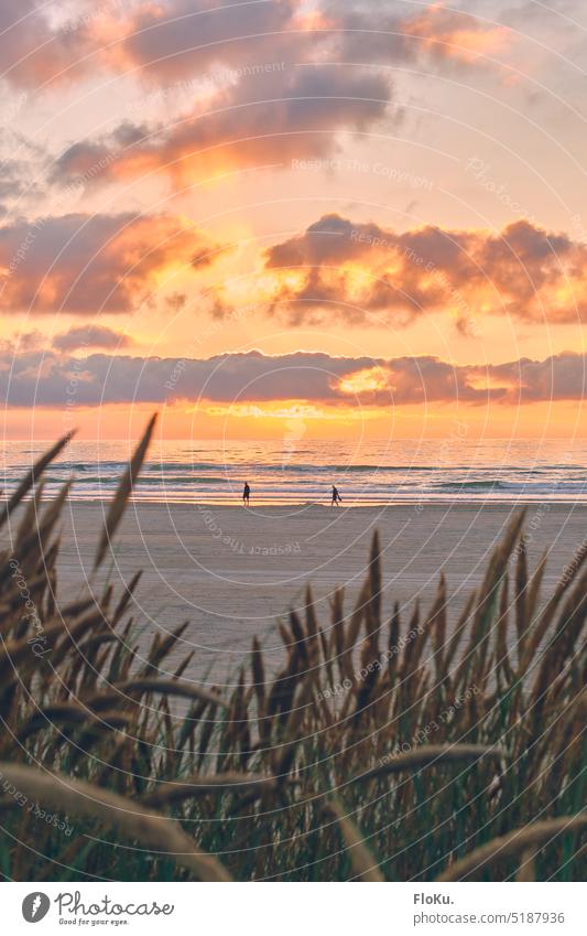 Beautiful evening on the beach in Denmark | 1000 Beach coast North Sea coast Vacation & Travel Ocean Sky Nature Sand Landscape dunes Clouds duene Sunset Evening